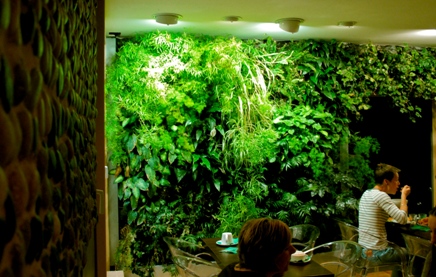 salle_pdj_vege_site